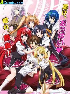 High School DxDⅢ