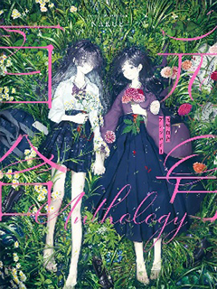 年號百合合集