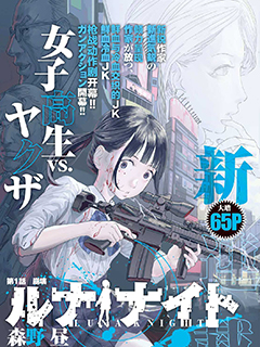 露娜騎士