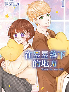 在星星落下的地方