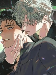 相似者